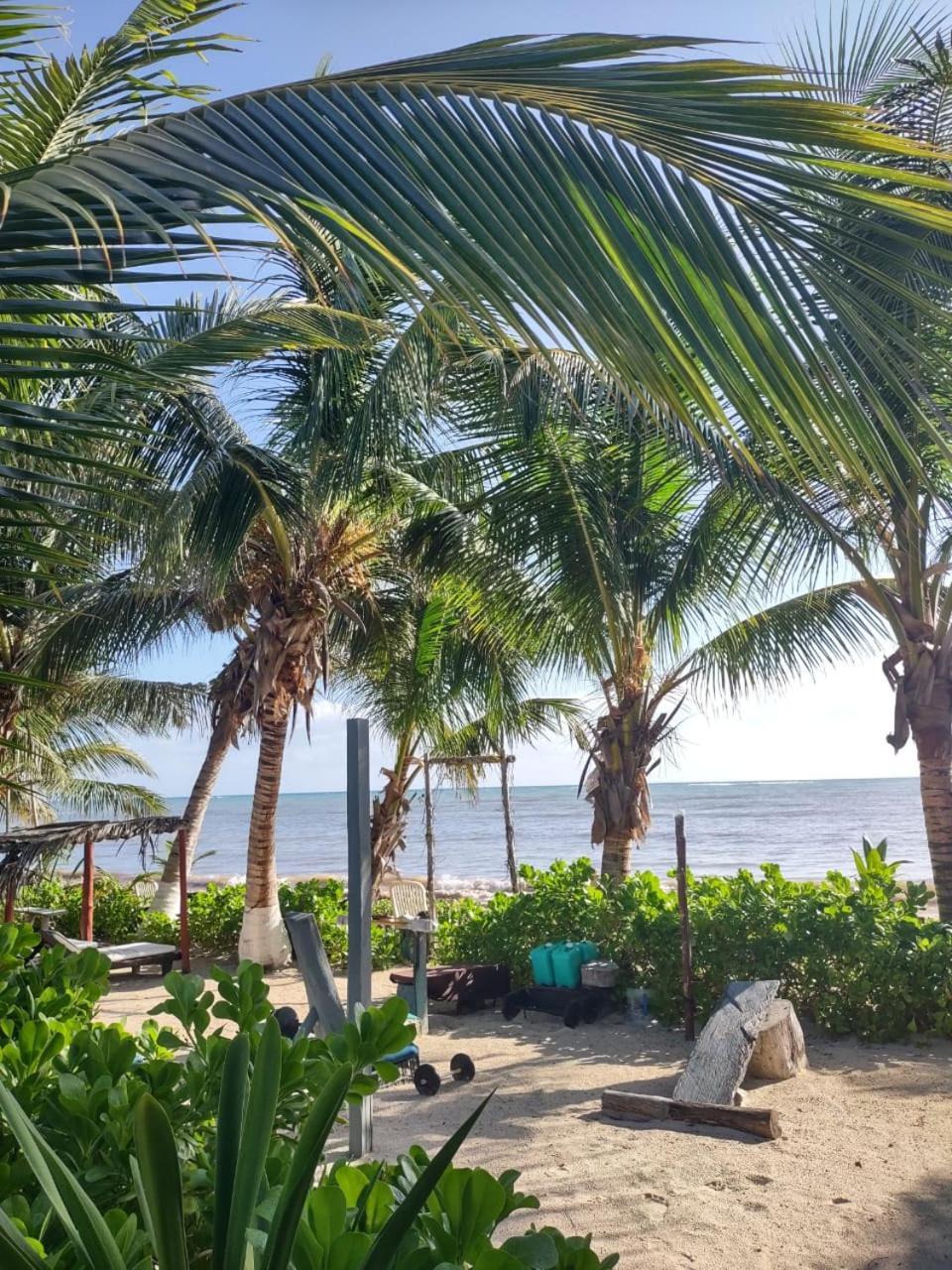 Lunazul Eco-Cabana Frente Al Mar Махауаль Экстерьер фото