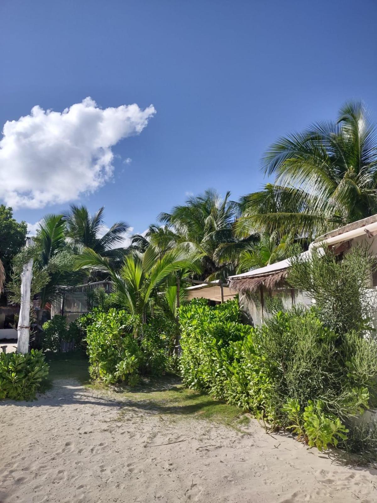 Lunazul Eco-Cabana Frente Al Mar Махауаль Экстерьер фото