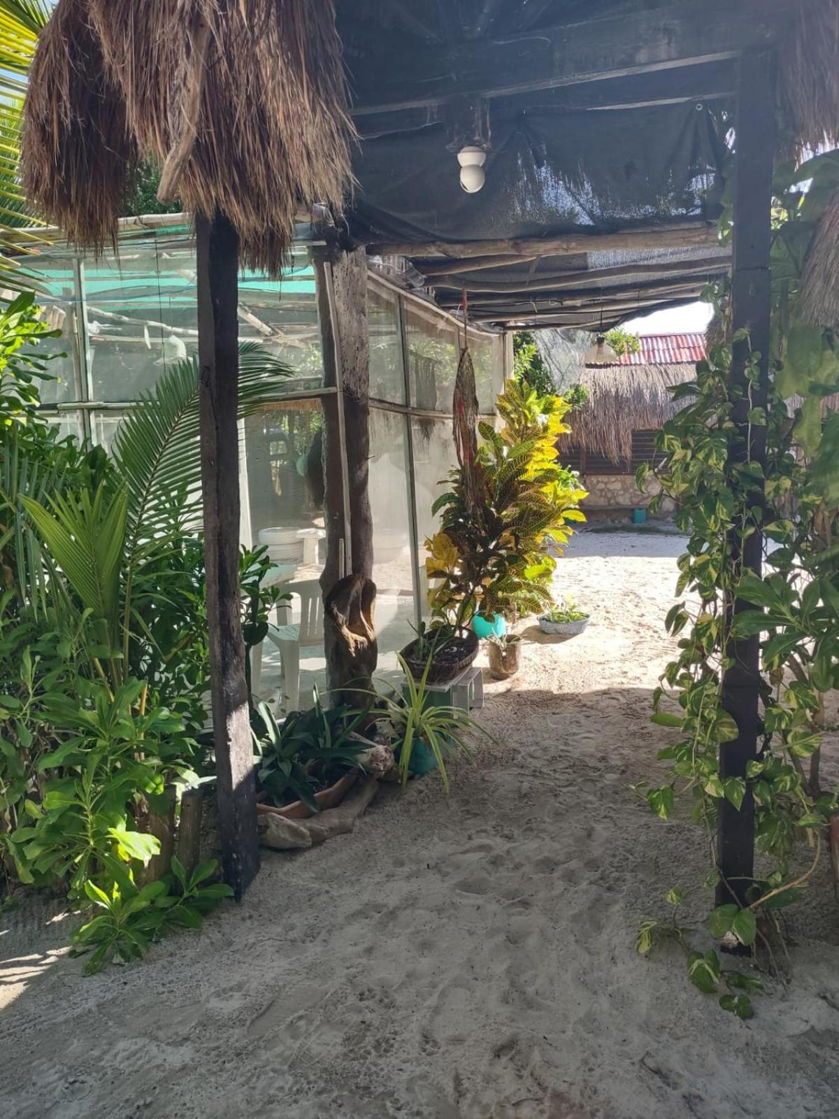 Lunazul Eco-Cabana Frente Al Mar Махауаль Экстерьер фото